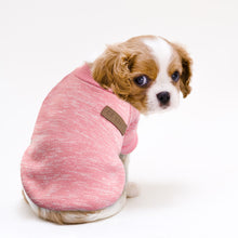 Load image into Gallery viewer, Warm Dog Cat Clothing Autumn Winter Pet Clothes Sweater For Small Dogs Cats Chihuahua Pug Yorkies Kitten Outfit Cat Coat Costume