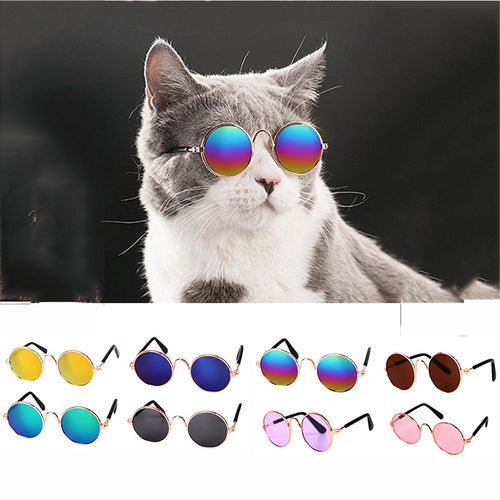 Cool Cat Sunglasses