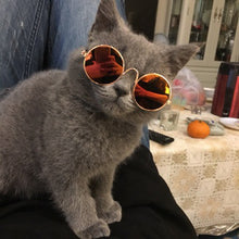 Load image into Gallery viewer, Cool Cat Sunglasses